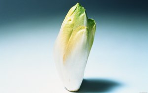 回滚机制